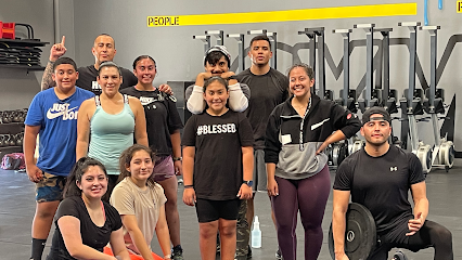 Bull Strong Fitness Profile Picture