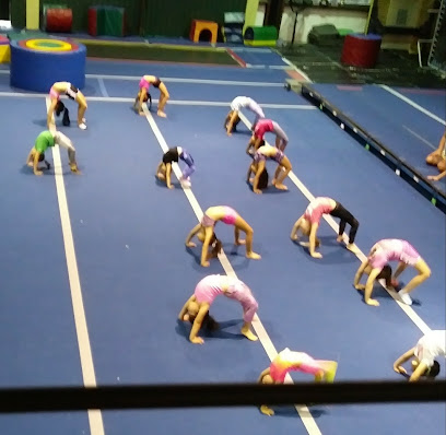 Corpus Christi Allstar Gym Profile Picture
