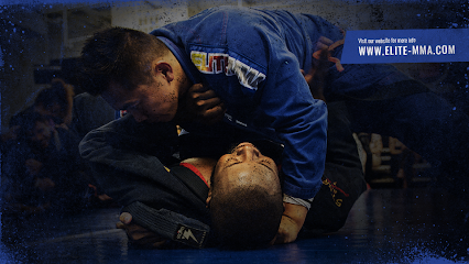 Elite Mixed Martial Arts - Baytown Profile Picture