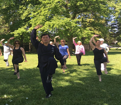 Body & Brain Healing Yoga & Tai Chi Profile Picture