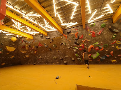 Boulderland Climbing Gym Profile Picture