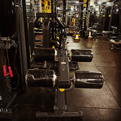 باشگاه برادران مجردی شعبه 2 Fit Club  Profile Picture