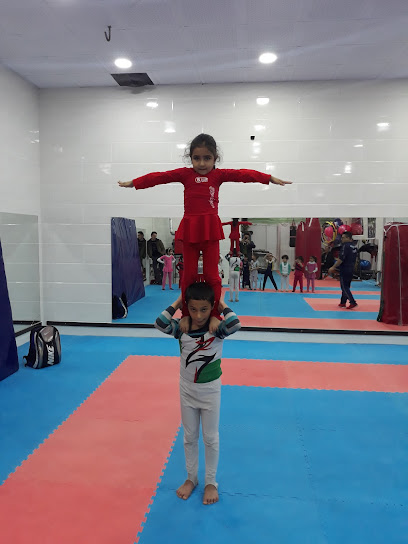 Nasir gym (woman) Profile Picture