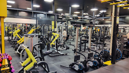 Datisfitnessclub باشگاه بدنسازی داتیس Profile Picture