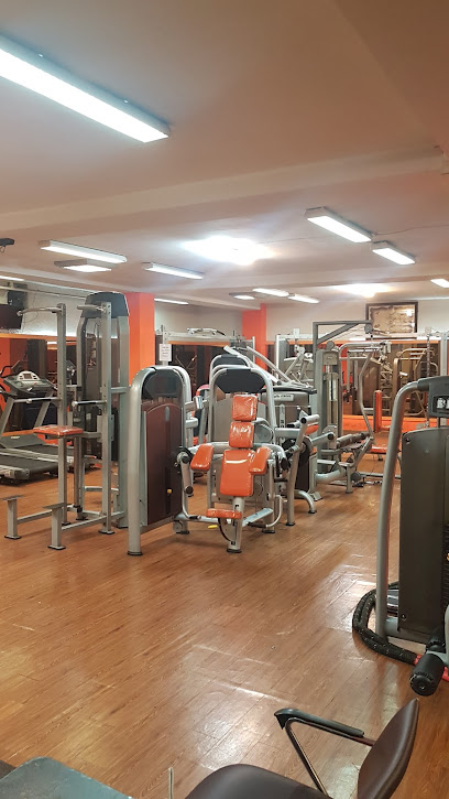 Royal Physique Gym Profile Picture