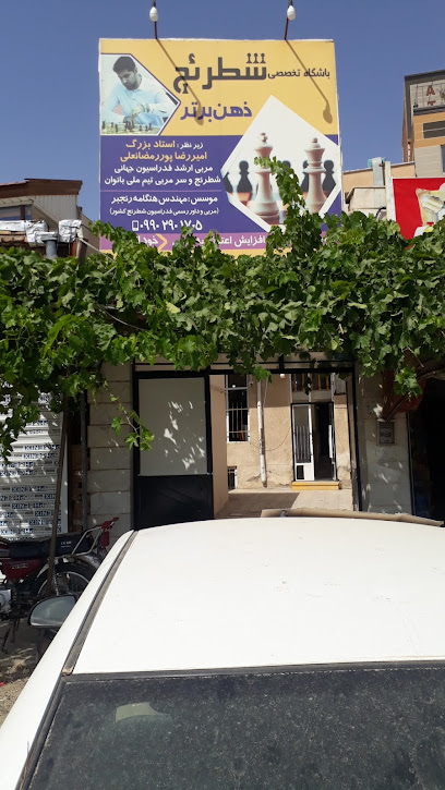 باشگاه تخصصی شطرنج ذهن برتر Profile Picture