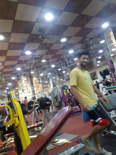 قاعة ارنولد Profile Picture