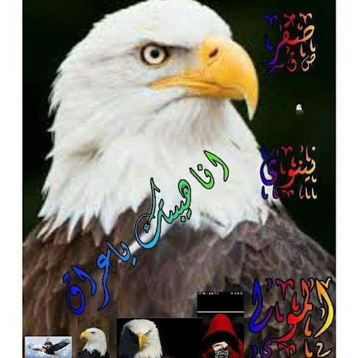 صالة صقر المولى للالعاب الاكترونية Profile Picture