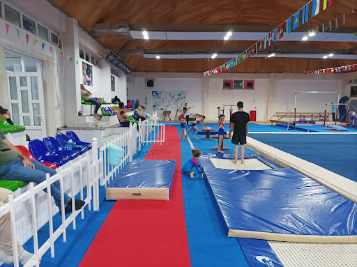 Sulaimanyah Gymnastic Hall Profile Picture