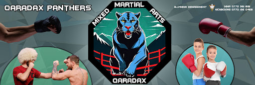 Qaradax Panthers MMA Mixed Martial Arts- gym Profile Picture