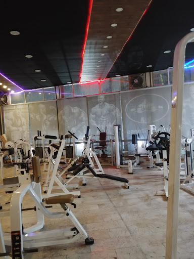 Gallery Items