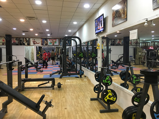 Azad Shingali gym هولا ازاد شنكالى Profile Picture