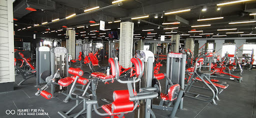 Alpha GYM - ئەلفا جیم Profile Picture