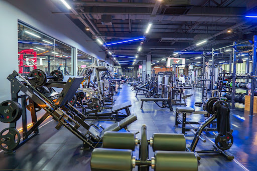 LIFEFIT ERBIL Profile Picture