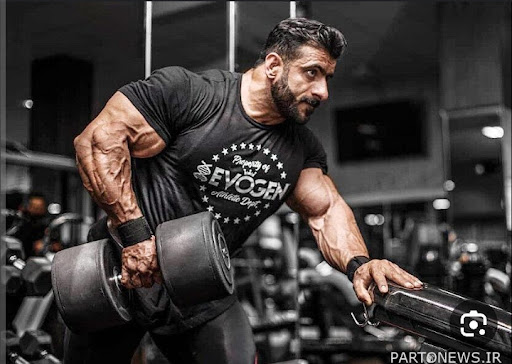 TIGER GYM تايكر جيم Profile Picture