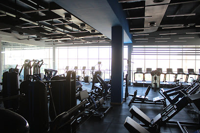 Velocity Gym Profile Picture