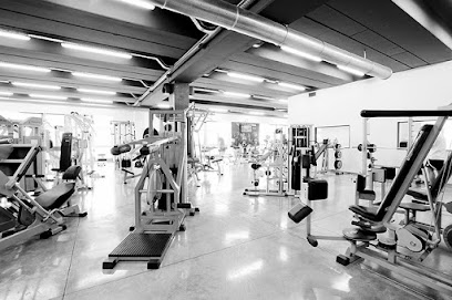 Fitness Faktory S.S.D. a R.L. Profile Picture