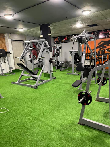 Al - laith Gym نادي الليث الرياضي Profile Picture