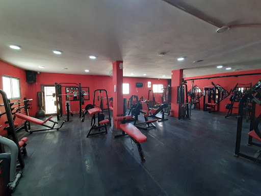 Nitro Gym نادي كمال اجسام ولياقه بدنيه Profile Picture