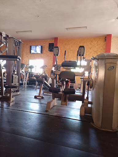 MASTER GYM Profile Picture