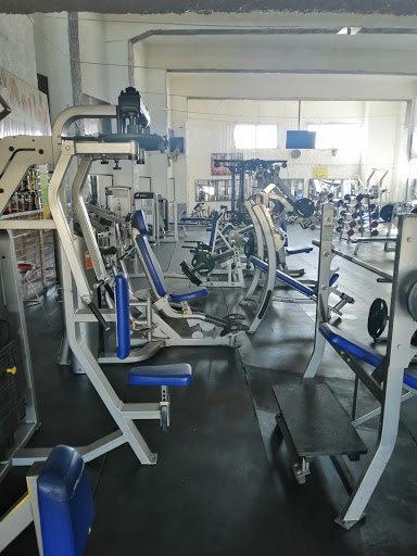 Max power gym Profile Picture