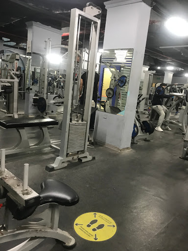 The Scandinavian Gym Profile Picture