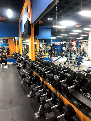 Power Gym Profile Picture