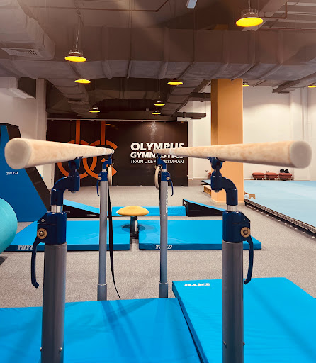 Olympus Gymnastics Profile Picture