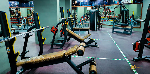 Body Zone Gym and Fitness Profile Picture