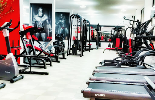 Sparta Gym Profile Picture