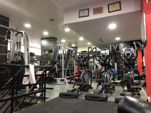 Body Master Gym Profile Picture