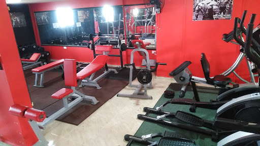 THE ROCK GYM Profile Picture