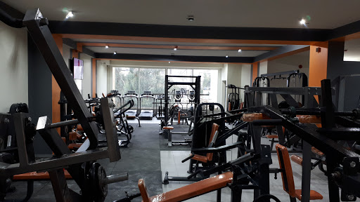 Fitness and beyond Profile Picture
