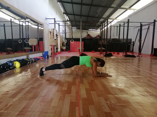 ZeroGravity Calisthenics Academy Profile Picture