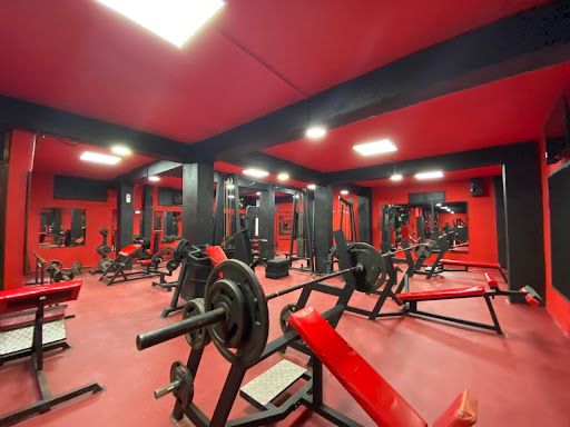 POWER GYM Profile Picture