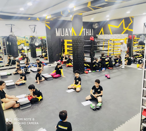 CLUB ARENA MUAYTHAI KICKBOXING CROSSFIT Profile Picture