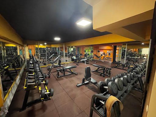 BODY FITNESS CLUB MAROCAINE DES SPORTS- Profile Picture