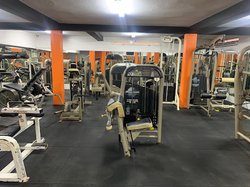 CLUB SPORTIF BIRRAMI DE BODYBUILDING Profile Picture