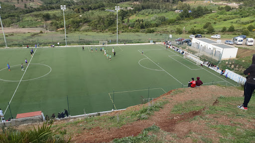 Football Stadium Profile Picture