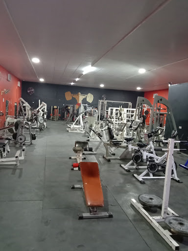 Wolves Gym صالة الذئاب Profile Picture