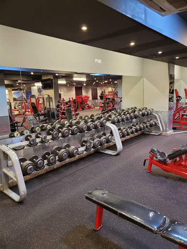 Everest Gym مركز ايفرست للياقة Profile Picture