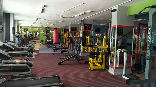 Lifestyle GYM SLL Profile Picture