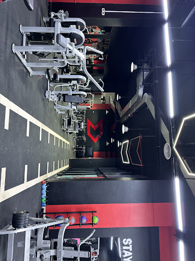dynamic lady gym Profile Picture