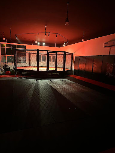 النشامى للفنون القتالية المختلطة-al nashama mixed martial arts Profile Picture