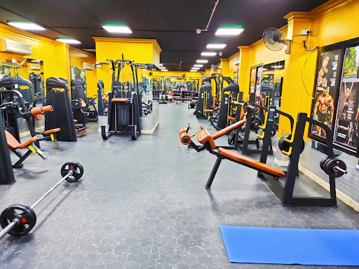 Max Muscles Gym Qa - ماكس ماصل جيم Profile Picture