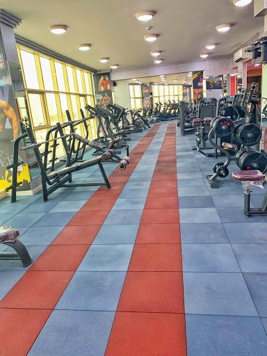 Iron Muscles GYM Profile Picture