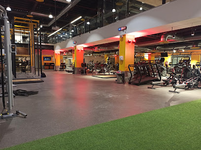 Gold's Gym Profile Picture