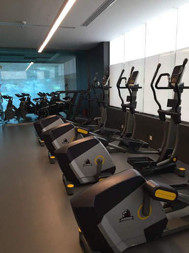 Lioness Fitness Center Profile Picture