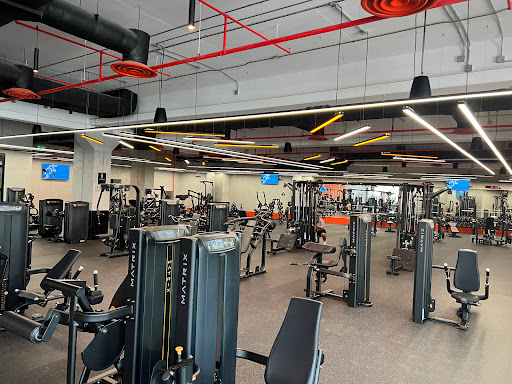 B-it Fitness Profile Picture
