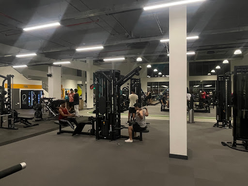PureGym Man Khobar Golden Belt | بيورجيم للرجال الحزام الذهبي في الخ Profile Picture
